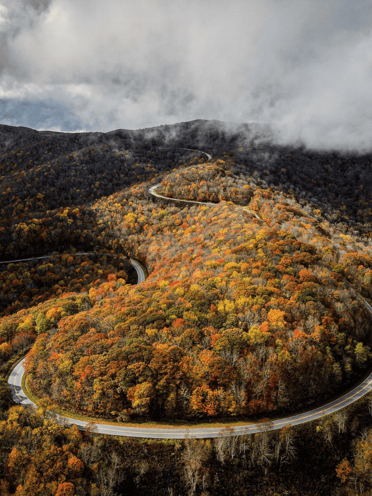 Winding mountain road through colorful autumn forest in scenic outdoor landscape.