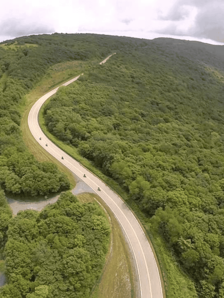 Winding mountain road through lush green forest with vehicles, scenic travel route, natural landscape.