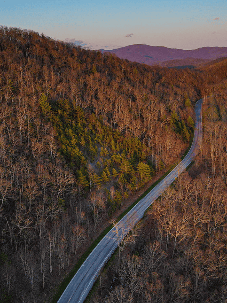 Winding mountain road through forest during sunset.