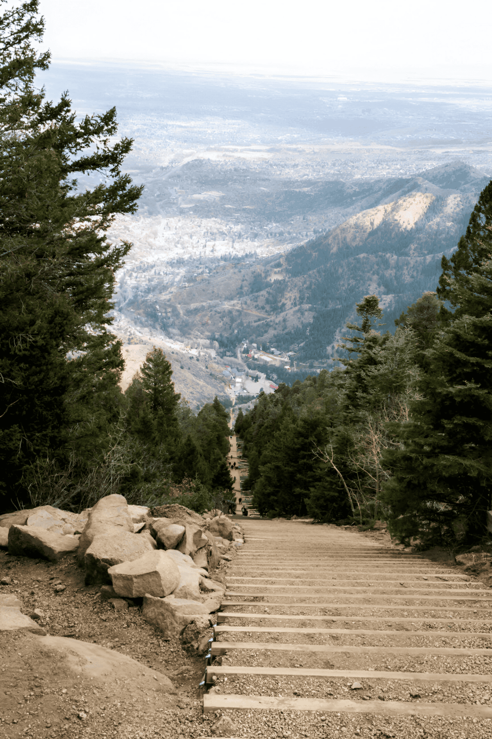 Scenic mountain trail with trees and distant city views, perfect for outdoor adventure and nature exploration.