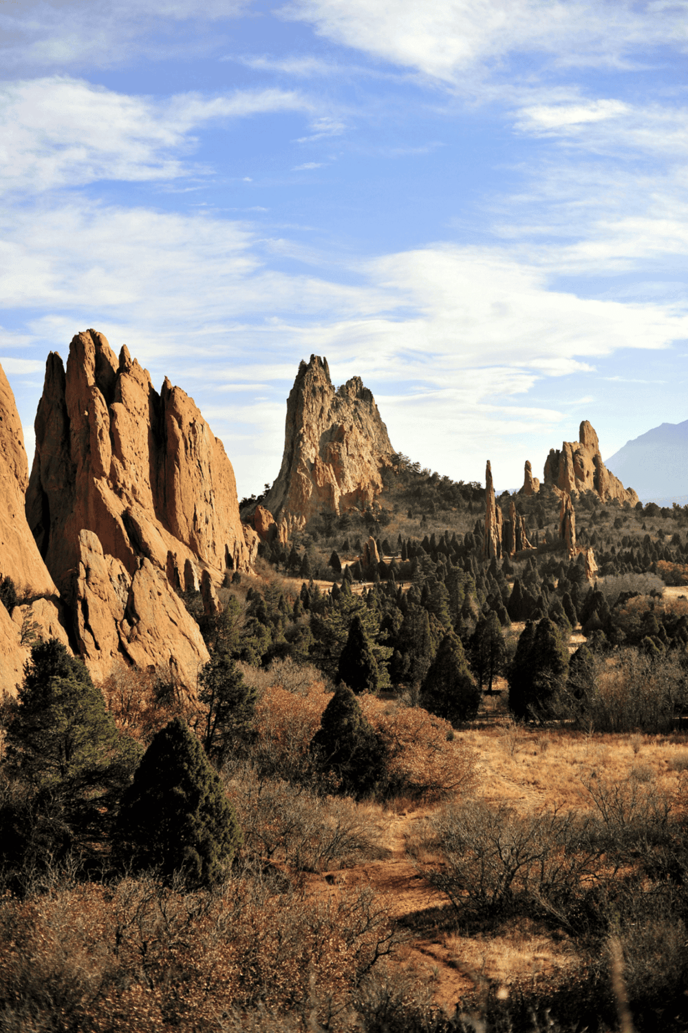 Vibrant rock formations and lush desert landscape at Garden of the Gods in Colorado.