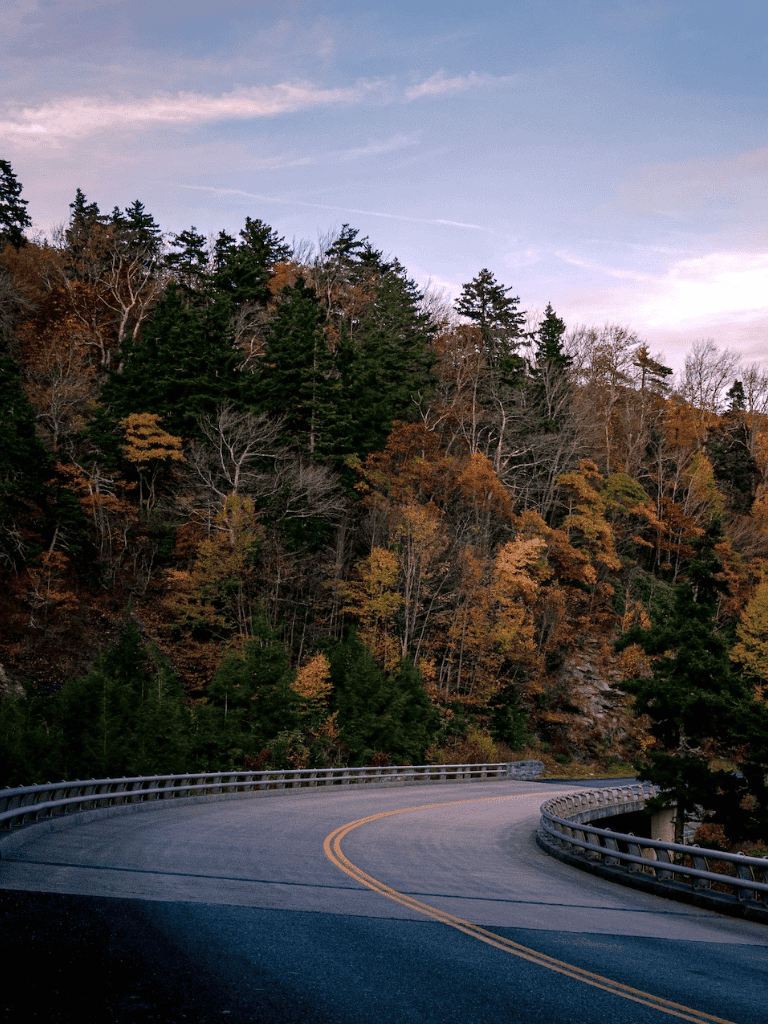 Serene mountain road surrounded by autumn foliage, perfect for scenic driving adventures.