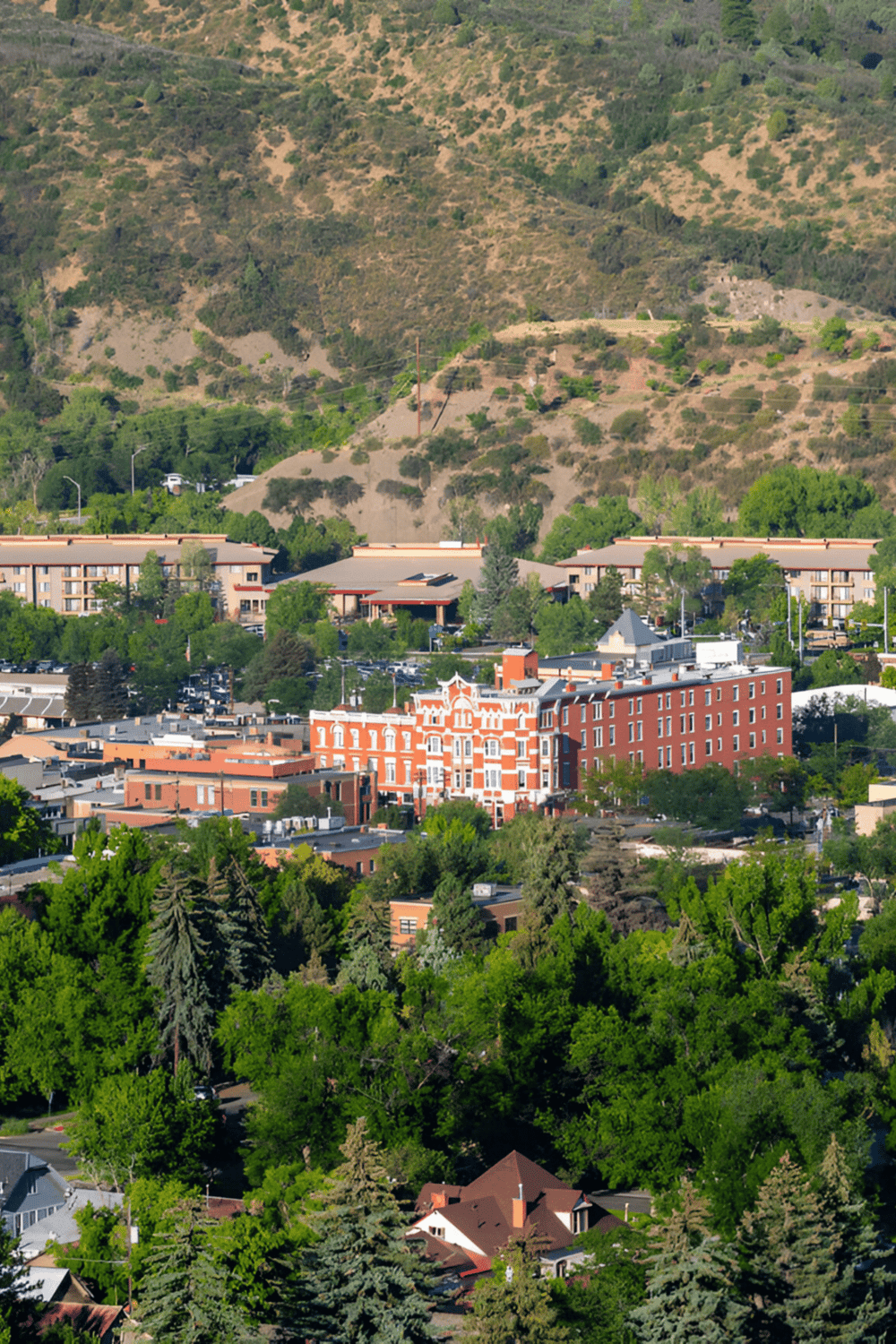 Lush green cityscape with rolling hills and residential buildings in the background.