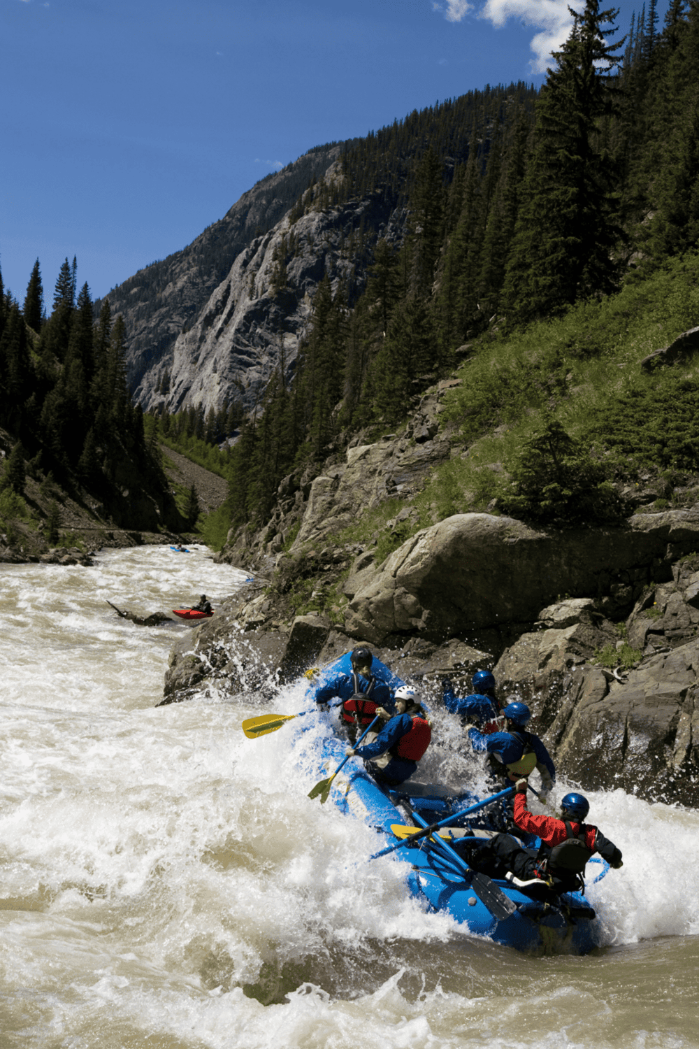 Rafting adventure on whitewater river in mountainous landscape with pine trees.