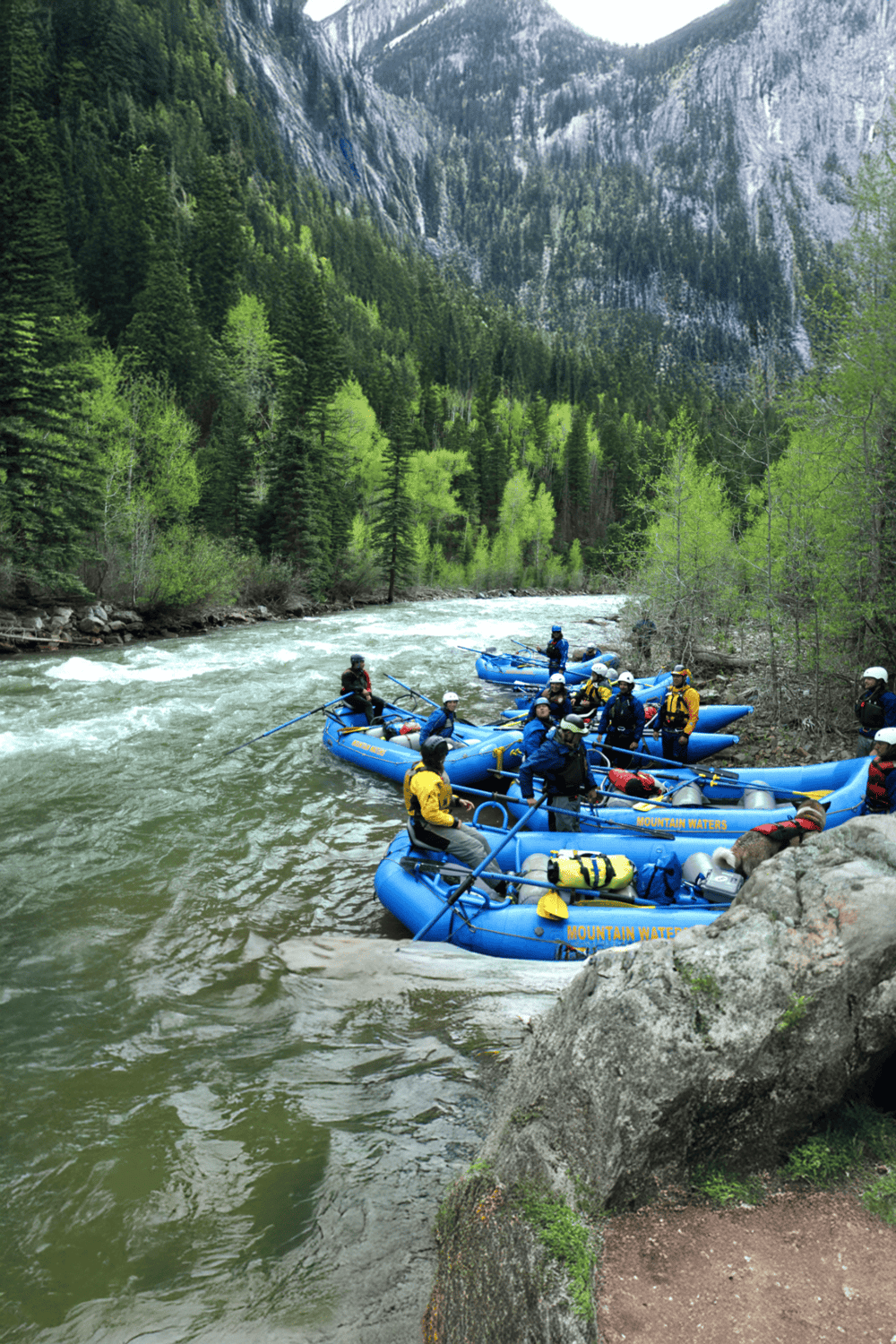 Exciting whitewater rafting adventure in mountain river surrounded by lush green forest.