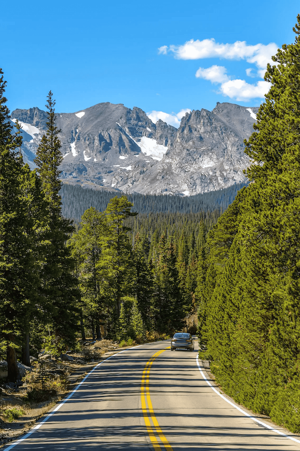 Serene mountain scenery with winding road through dense pine forest, snow-capped peaks and bright blue sky.