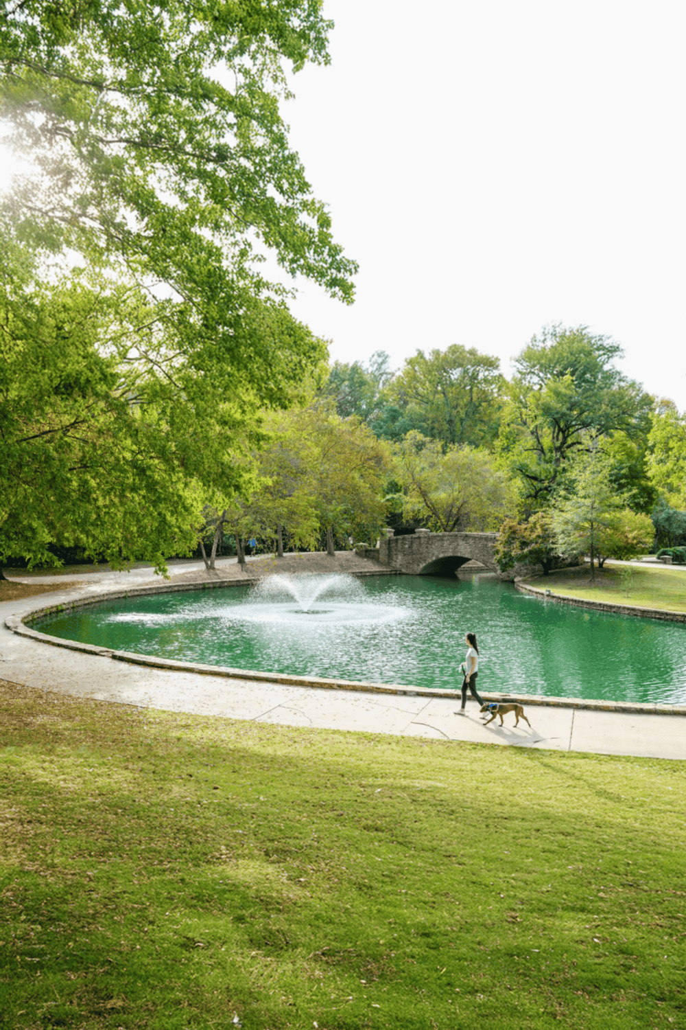 Relaxing park scene with pond, fountain, and lush green trees in a peaceful outdoor setting.