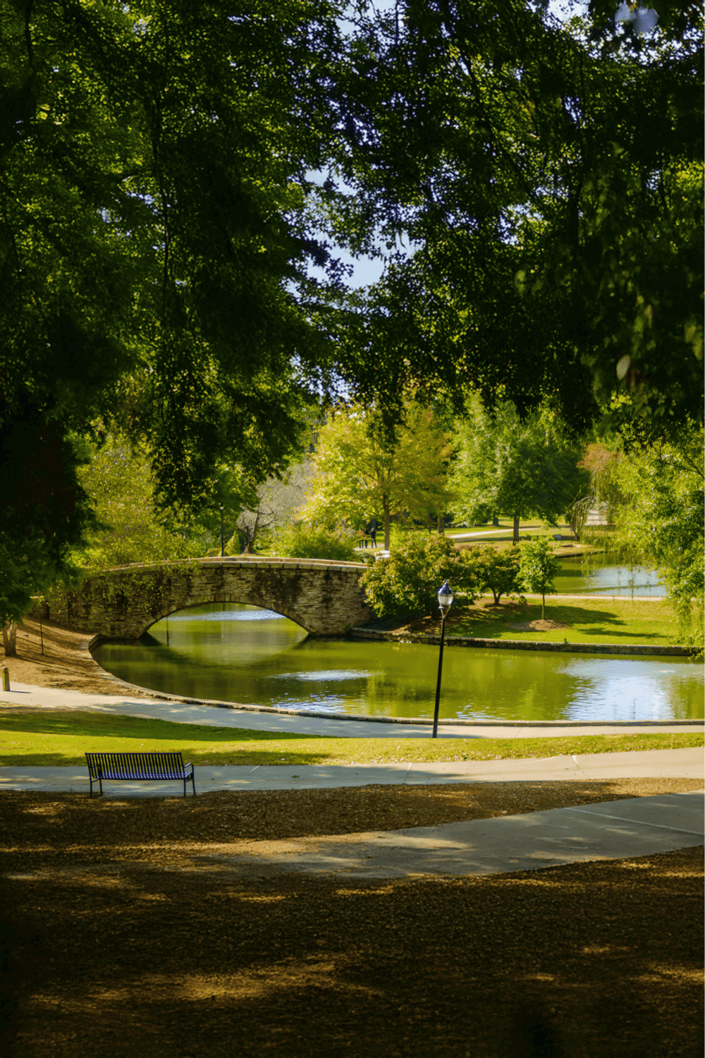 Lush green park with stone bridge over pond, shaded by tall trees, scenic outdoor space for relaxation.