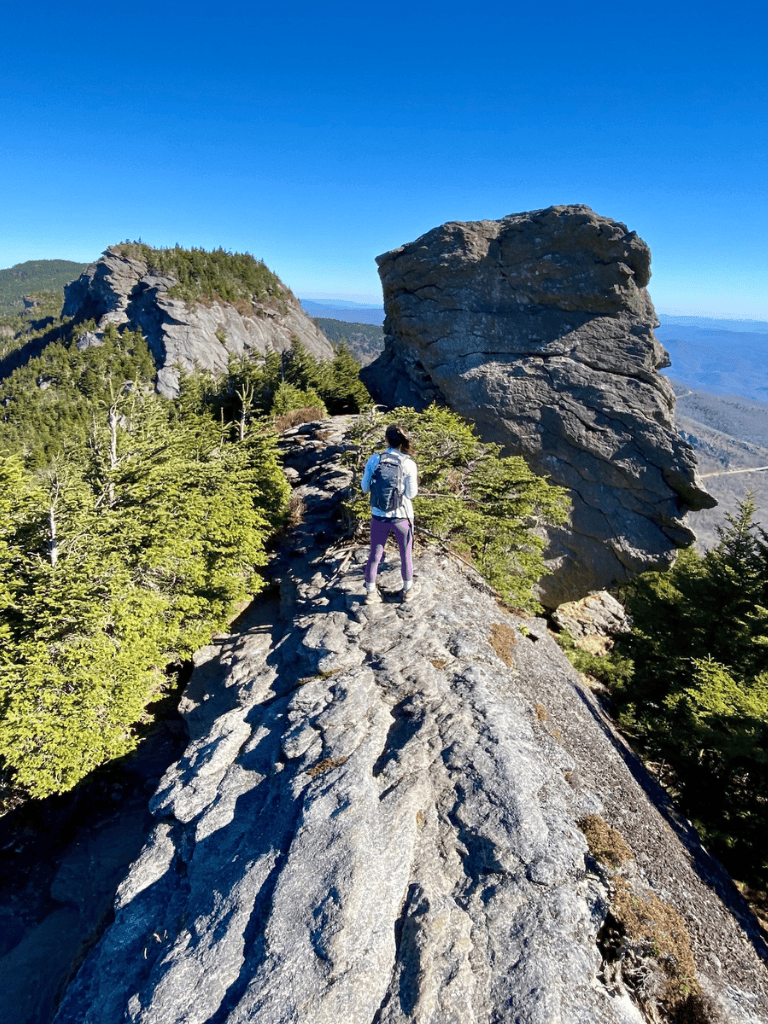 Scenic mountain trail with hiker, rugged rocks, and lush green forest, ideal for outdoor adventure.