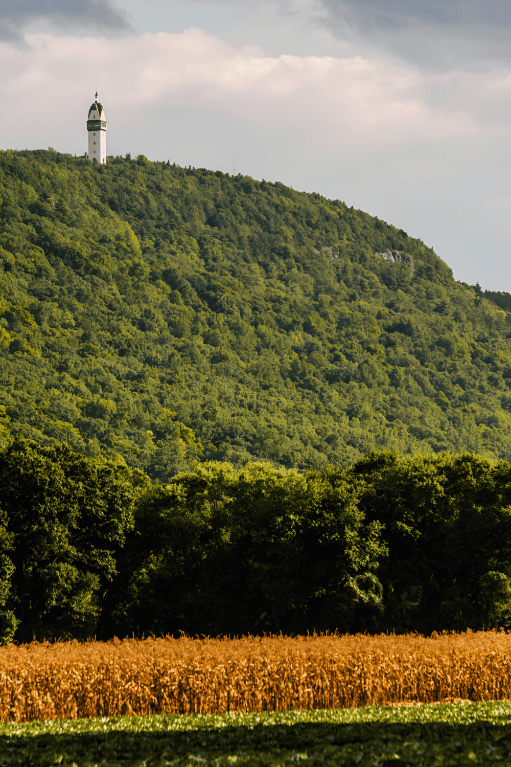 Lighthouse on lush green hilltop with farm fields at the base, scenic countryside in the background, ideal for travel and outdoor adventure.