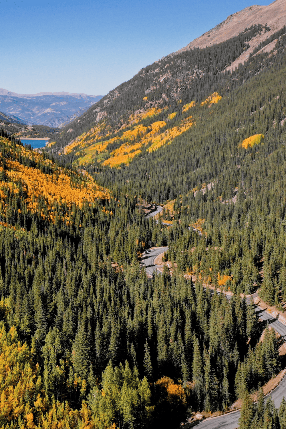 Lush mountain landscape with winding road, dense green forest, and vibrant autumn foliage.