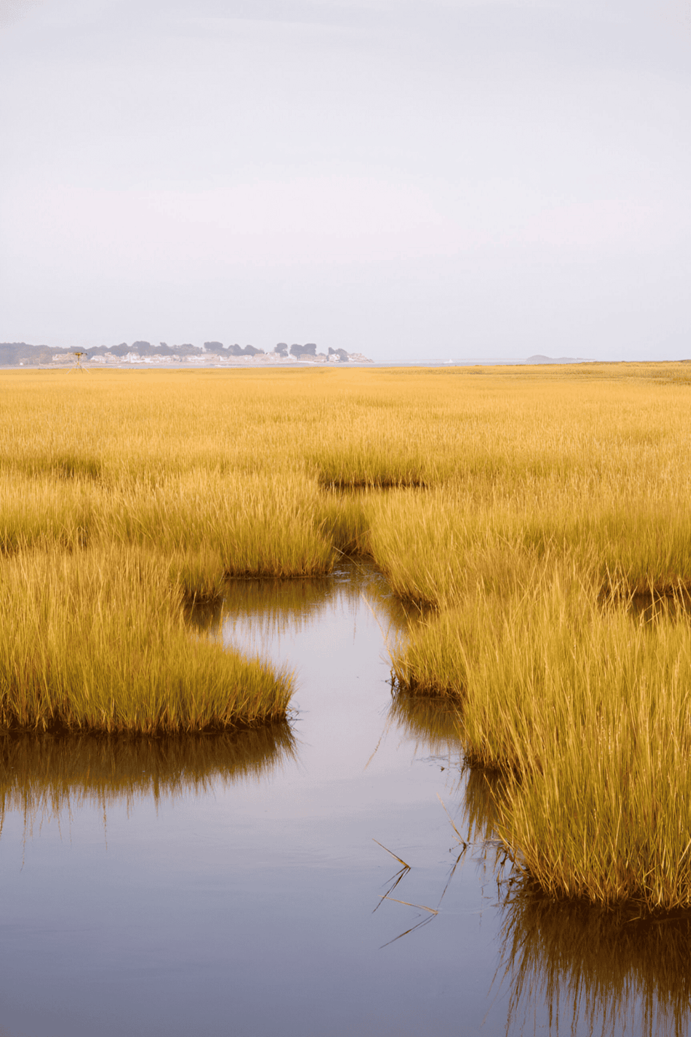 Marshland landscape with waterway and golden grass for exploring nature and outdoor adventures.