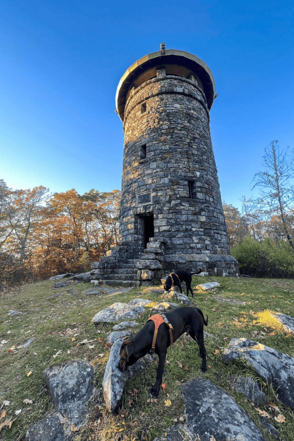 1. Historic stone tower surrounded by autumn foliage, ideal for outdoor exploration and adventure.