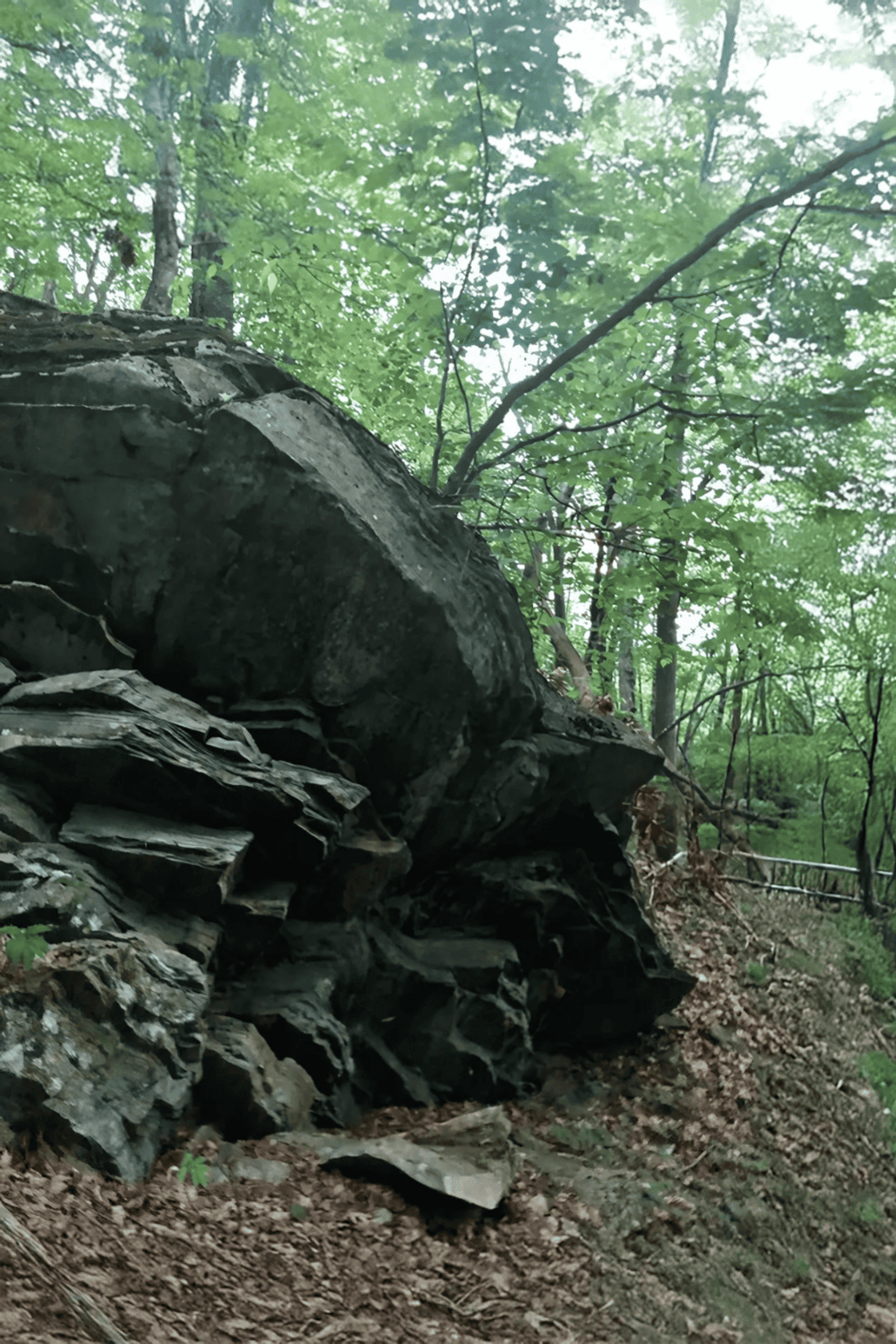 1. Fallen rock formation in lush green forest, scenic nature trail, outdoor adventure.