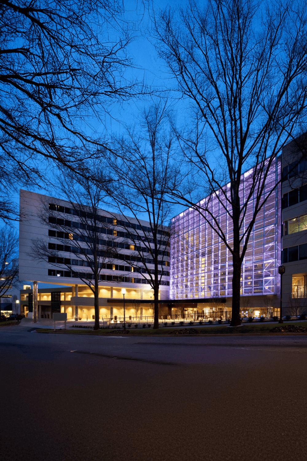 Modern building with purple lighting and leafless trees at dusk for urban architecture inspiration.
