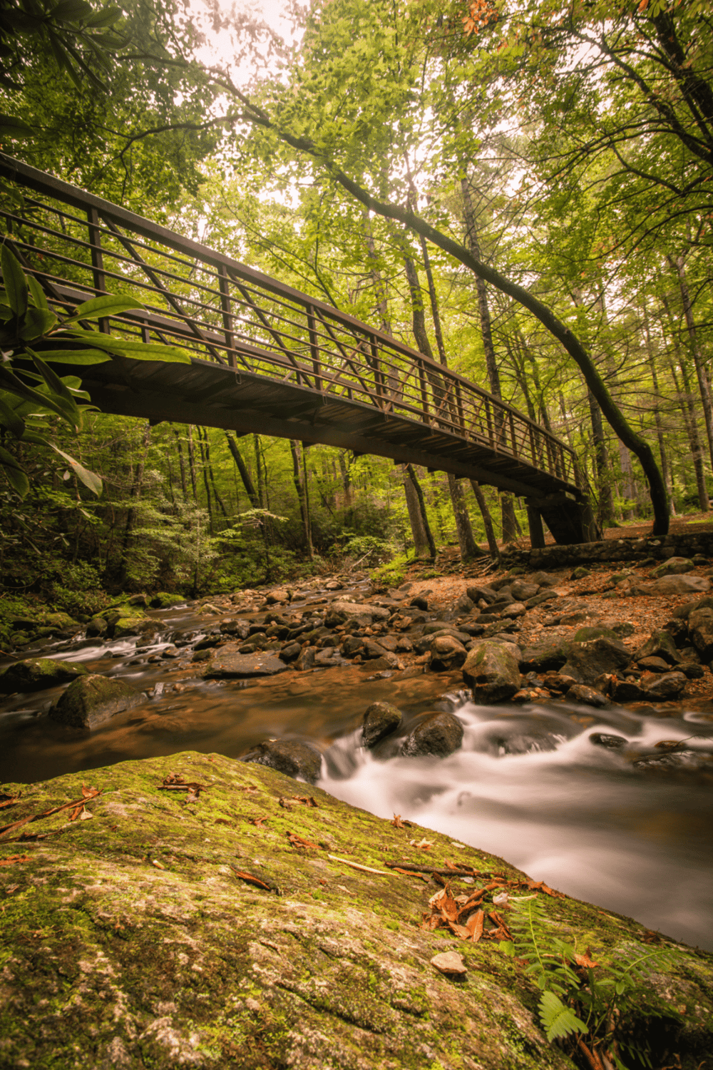 Misty forest creek with wooden bridge, nature scenic landscape, outdoor adventure, peaceful hiking trail, greenery, tranquil river, scenic views.
