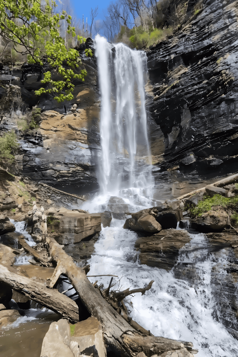 Waterfall cascading down rocky cliff in a lush forest setting.