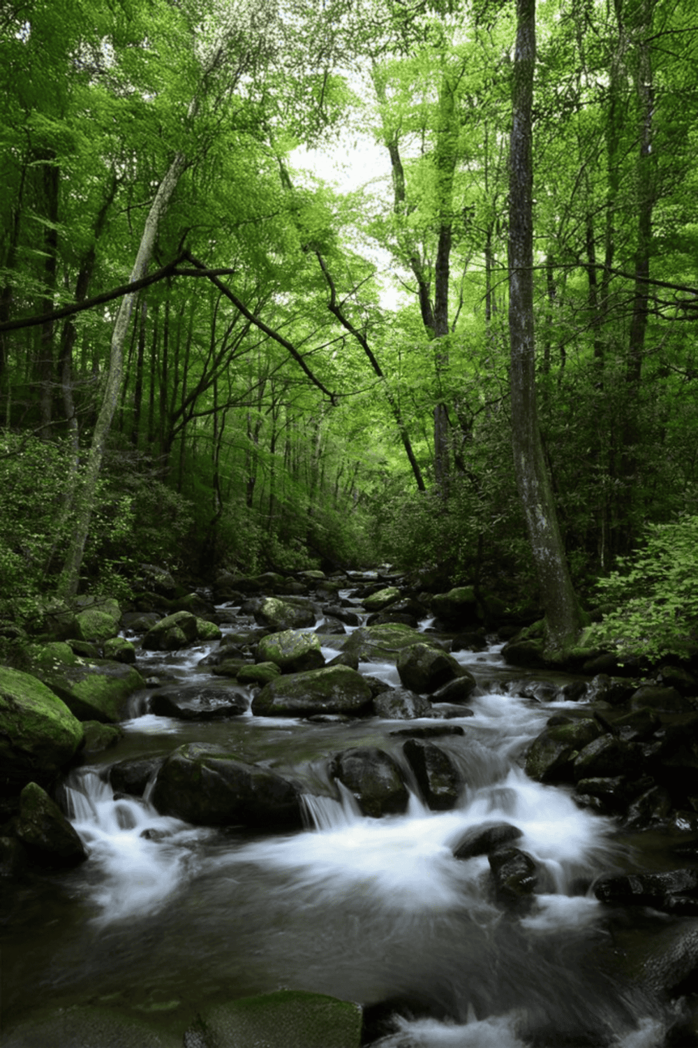 Vibrant green forest with flowing river and moss-covered rocks in a serene natural landscape.