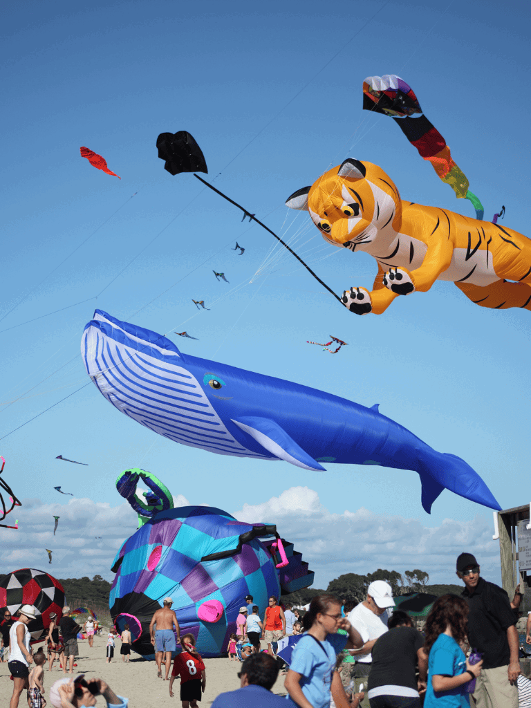 Colorful kite festival featuring a tiger and whale kites soaring in clear blue sky.