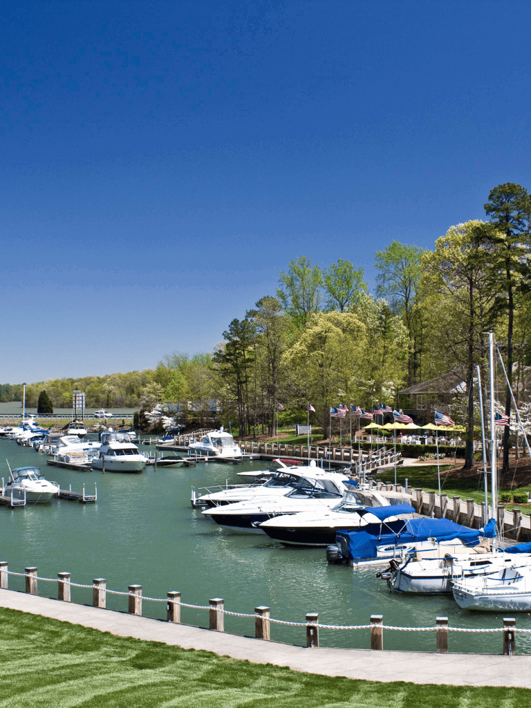 Marina with boats docked on a clear day, lush green trees, and a sunny blue sky.