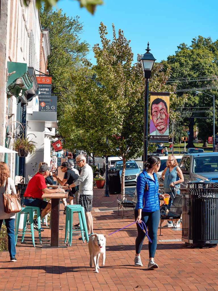Vibrant downtown street scene with pedestrians, shops, and greenery, showcasing urban life and community engagement.