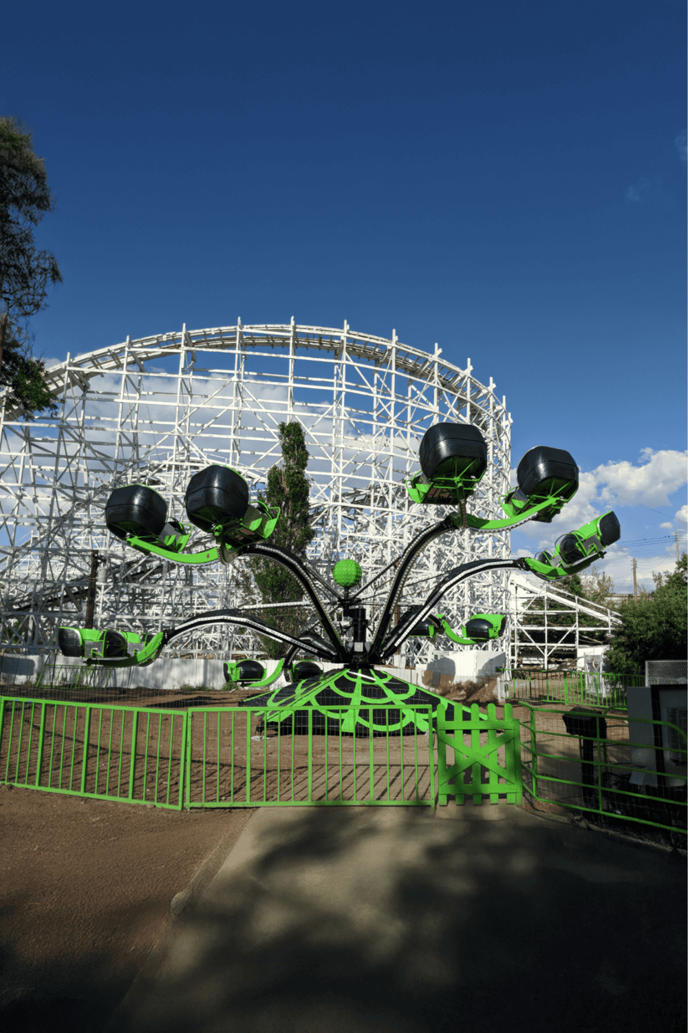 Thrilling amusement park ride with a vibrant green and black design against a blue sky backdrop.