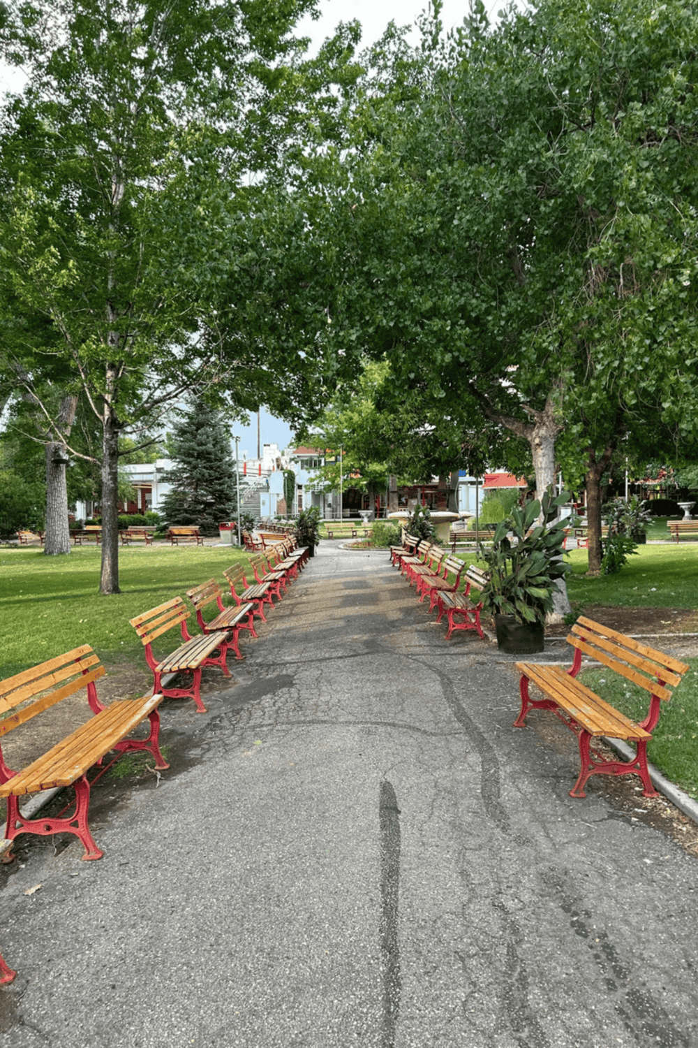 Comfortable park benches with lush green trees in a scenic outdoor setting for relaxation and community enjoyment.