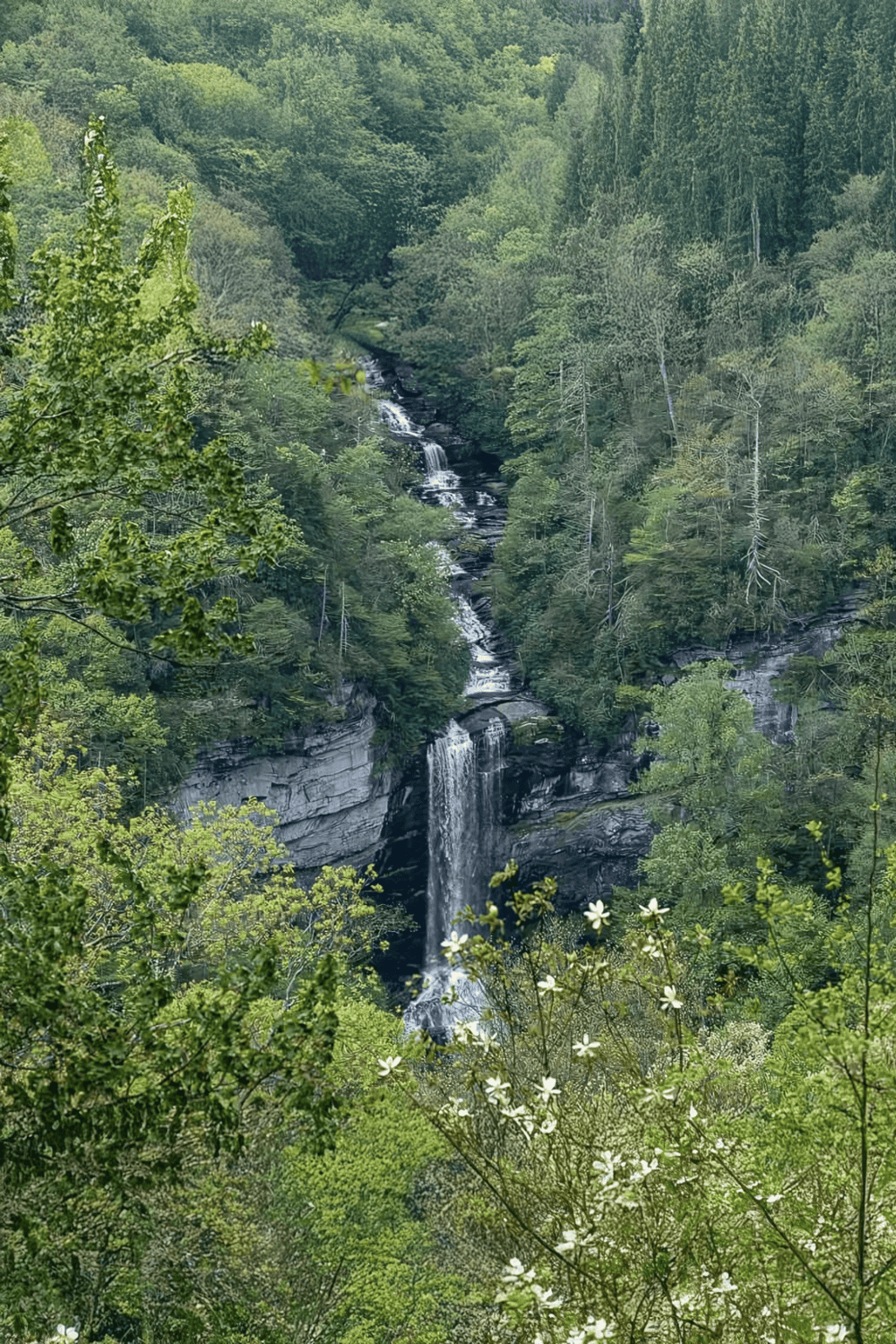 Waterfall cutting through lush green forest landscape | QuestForDirections.
