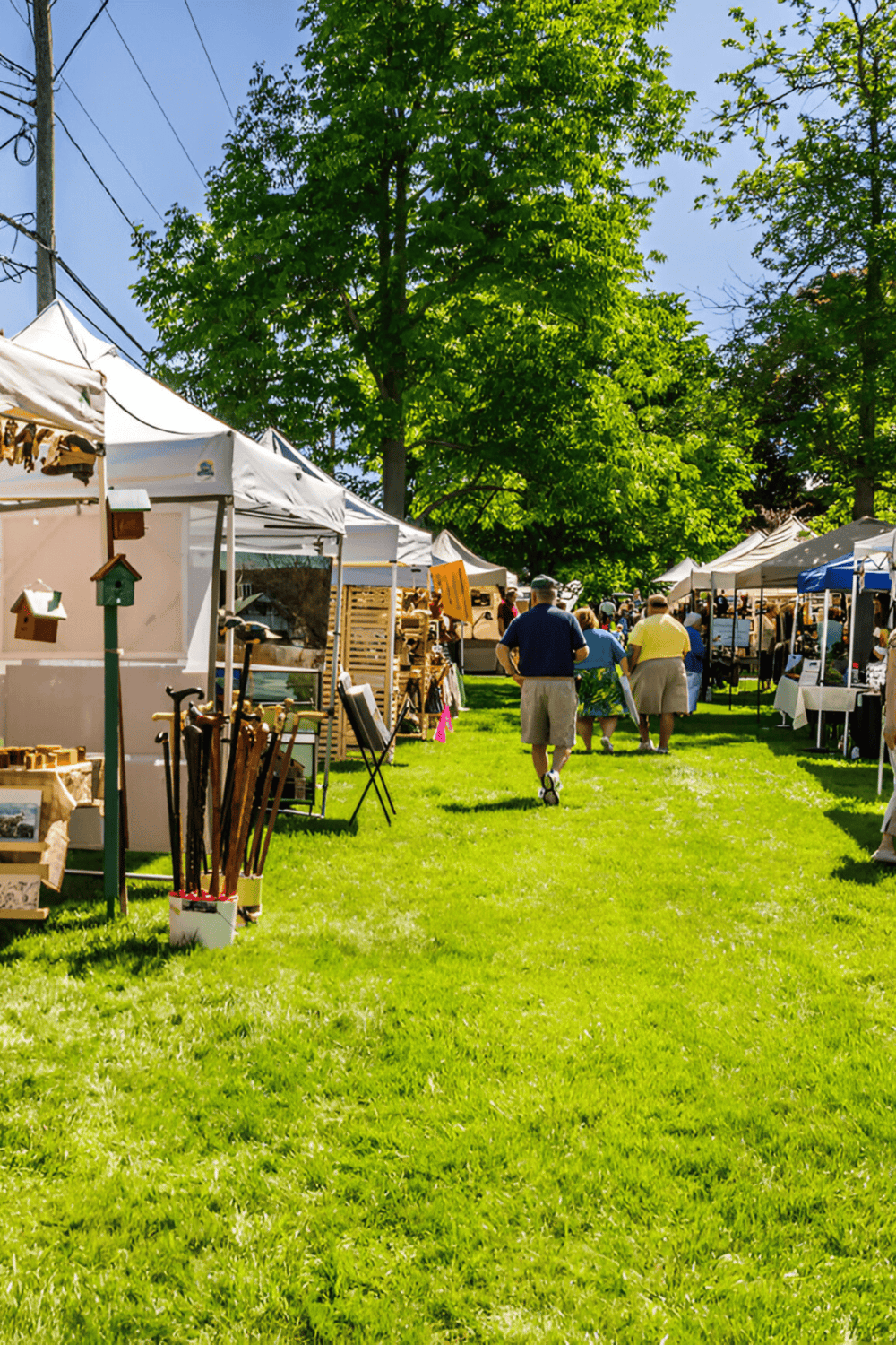 Colorful outdoor market with vendor booths, shoppers, and lush green trees, ideal for discovering local treasures.