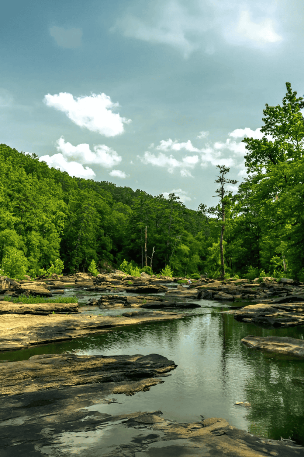 Serene river flowing through lush green forest with rocky banks and bright, partly cloudy sky.