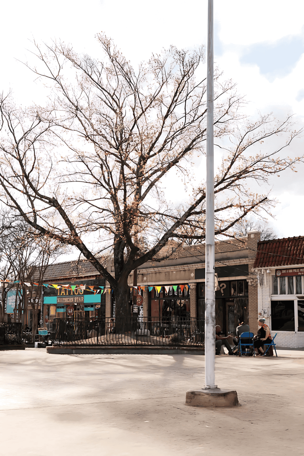 Vibrant small-town street with shops, a blooming tree, and community gathering spots.