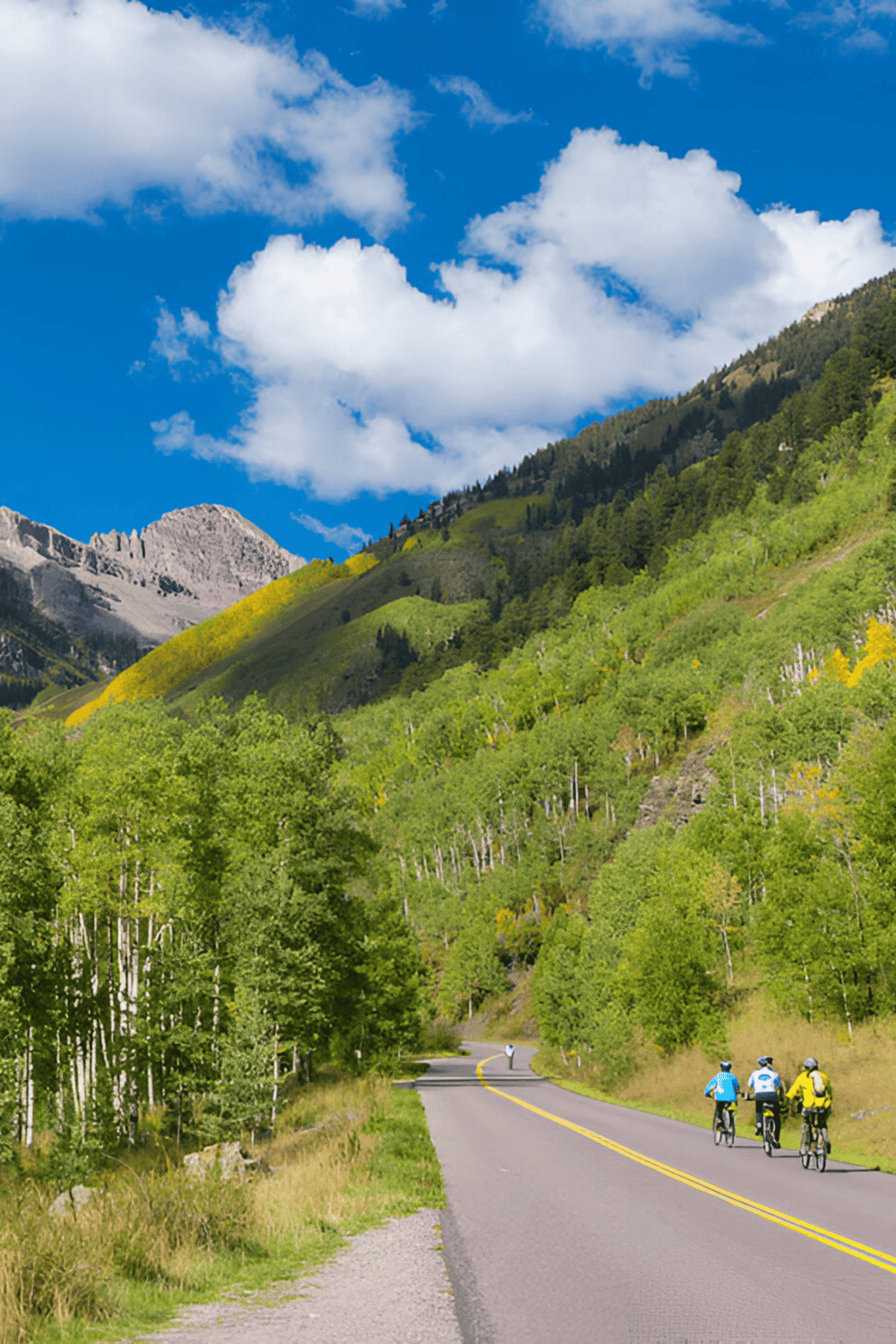Serene mountain biking scene in lush green forest with scenic mountain views and bright blue sky.