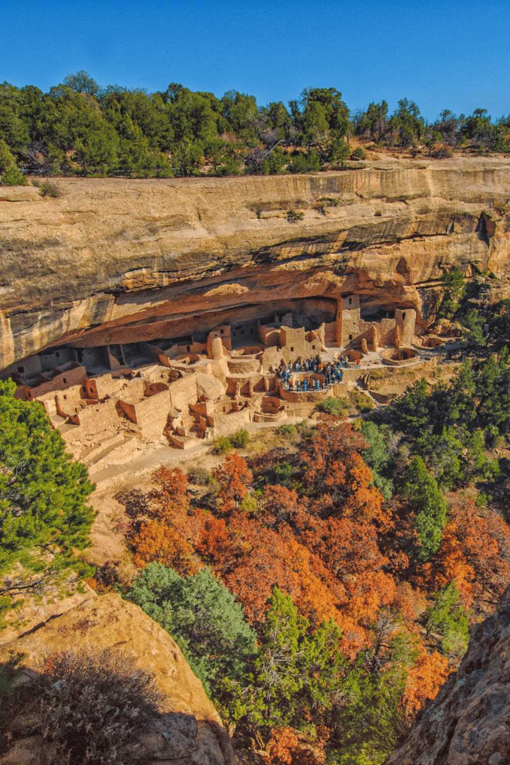 Ancient cliff dwelling at Mesa Verde National Park in Colorado, offering guided tours.