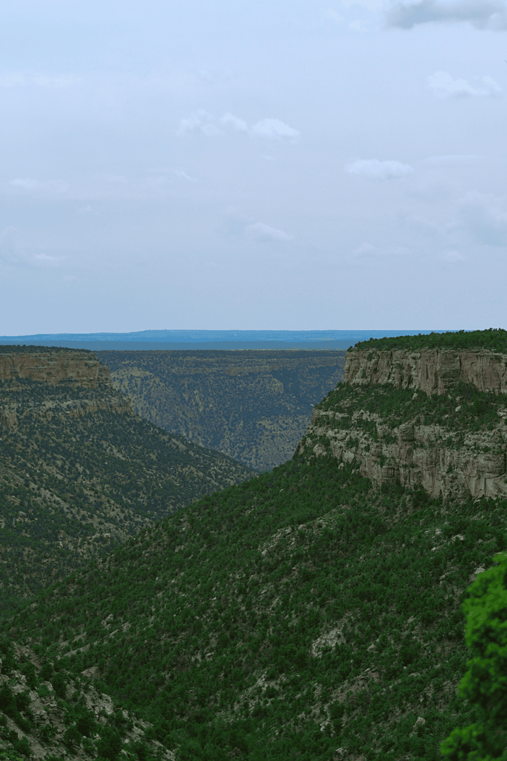 Vast canyon landscape with lush green cliffs and deep valleys, ideal for exploring outdoor adventures and nature trips.