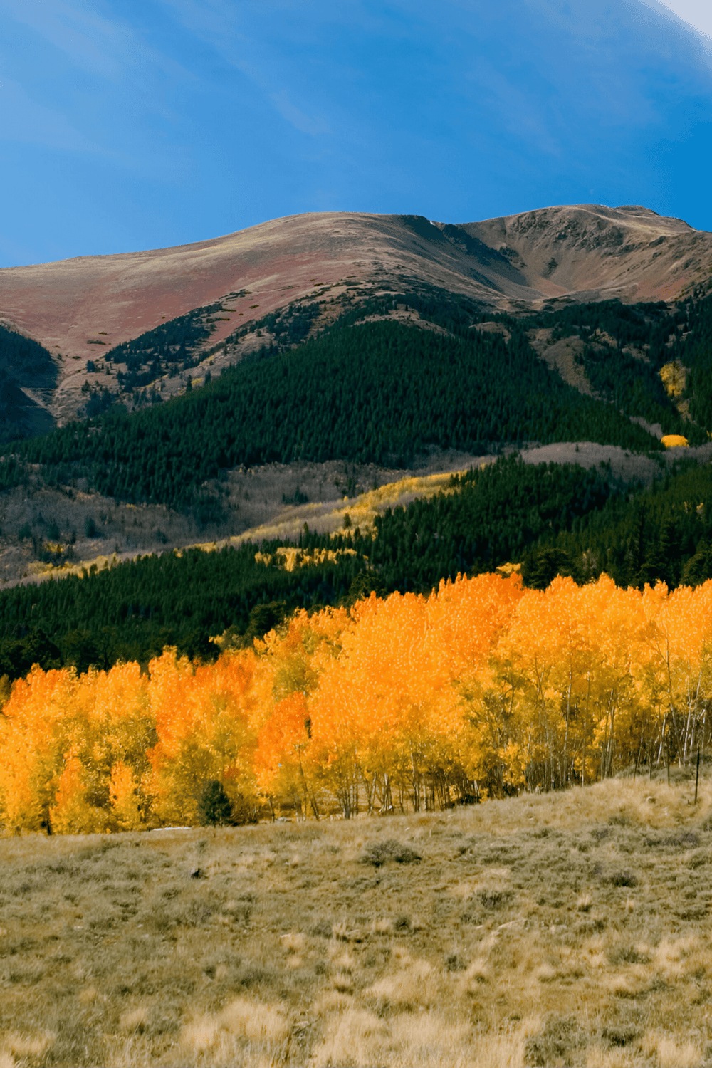 Vivid autumn landscape with colorful fall foliage, rolling hills, and mountain scenery | QuestForDirections SEO image.