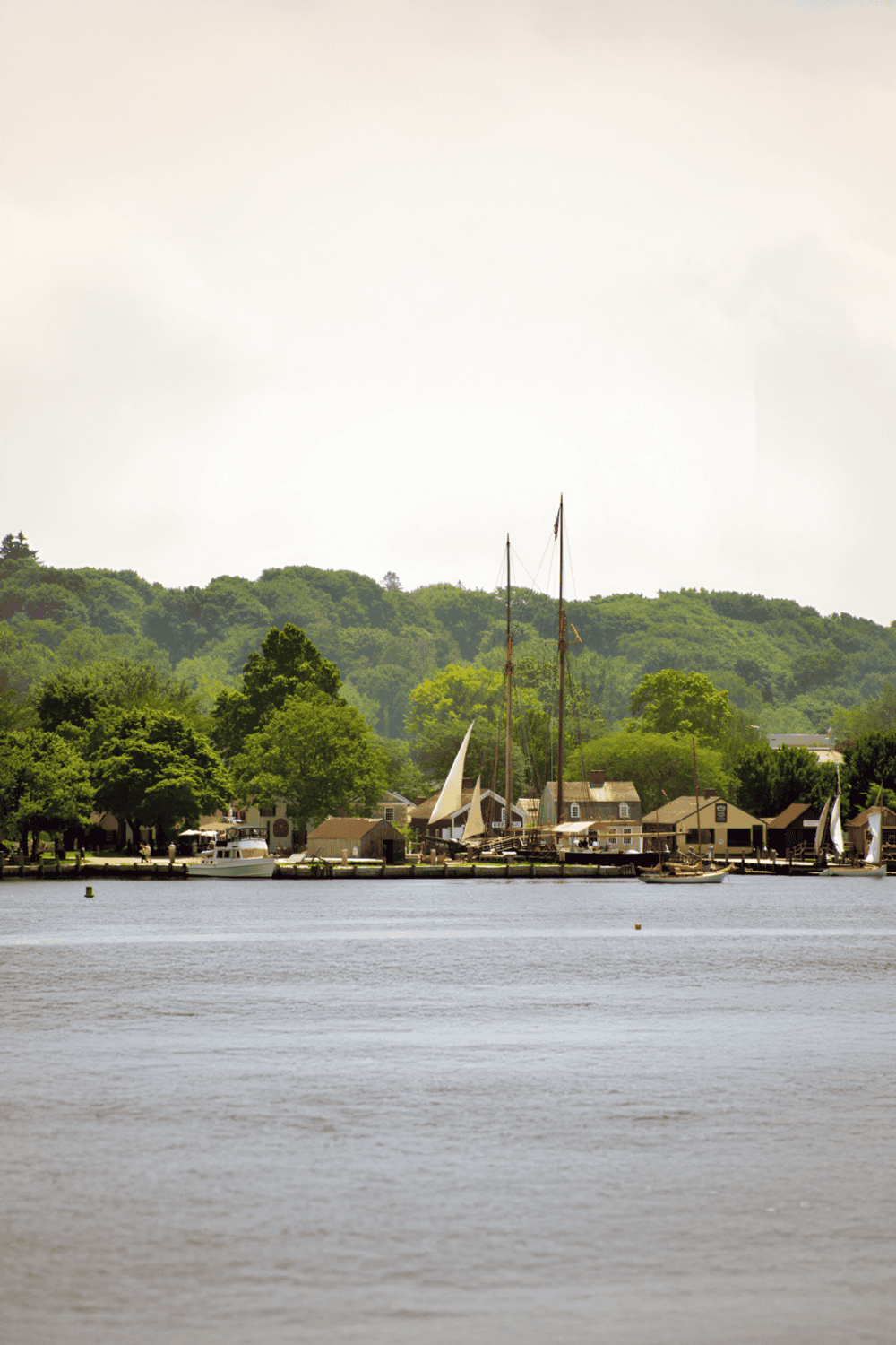 Scenic harbor with boats and lush green trees in the background at QuestForDirections.
