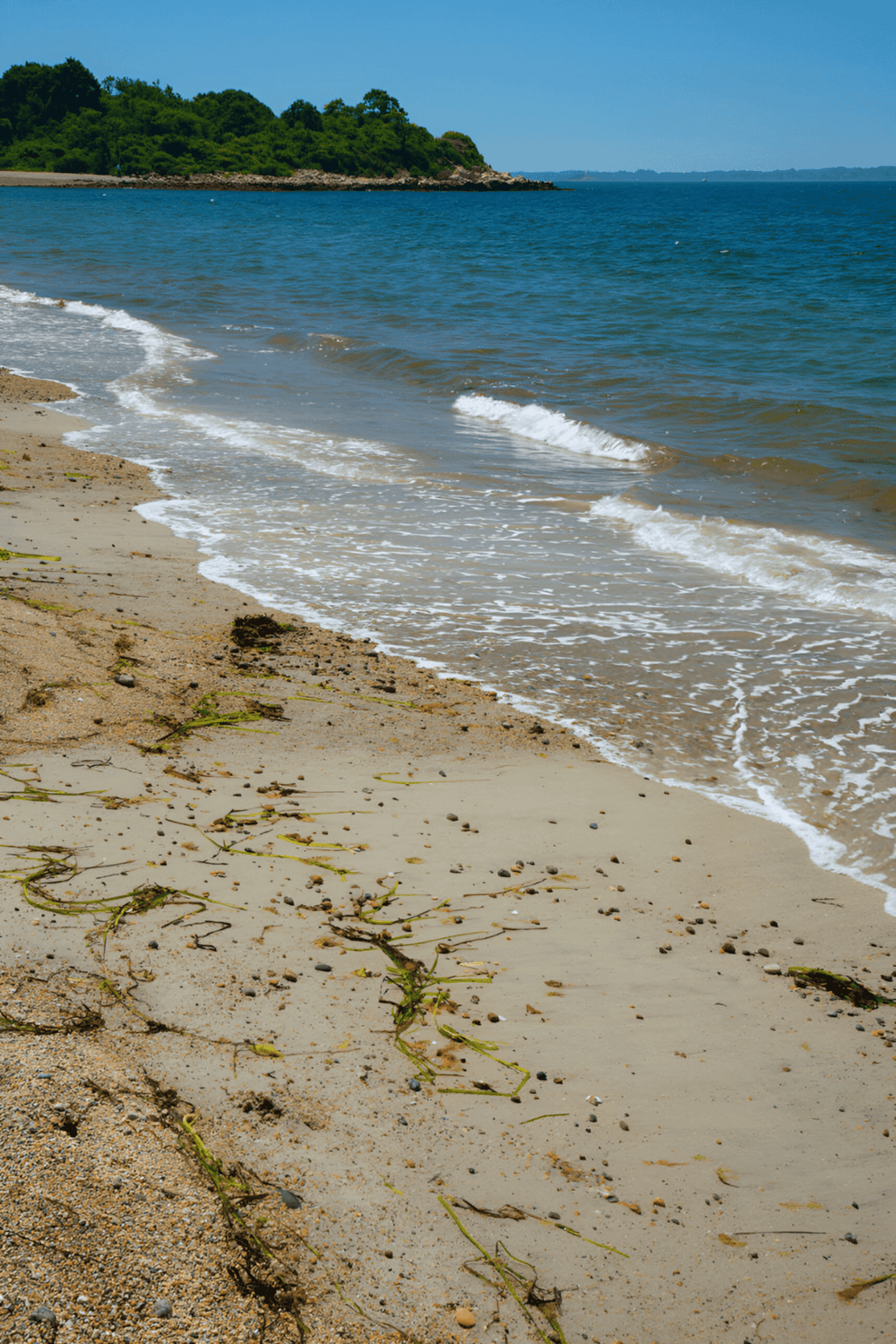Relaxing beach shoreline with gentle waves, sandy beach, greenery, and blue sky.