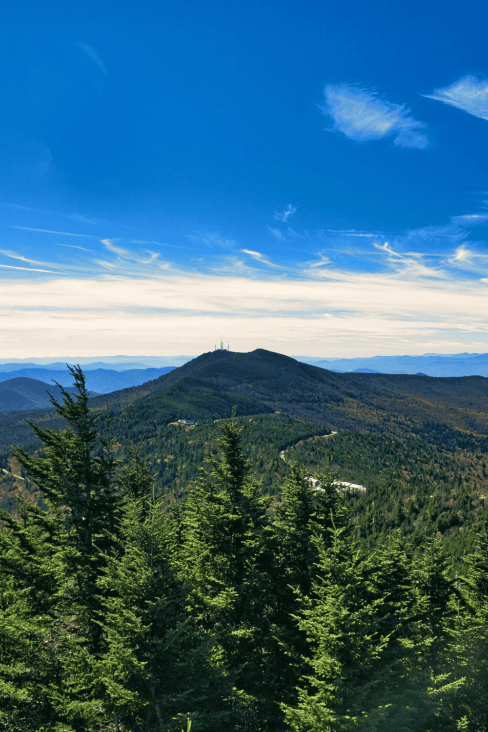 Serene mountain landscape with lush green trees and a clear blue sky, perfect for outdoor adventure and nature exploration.