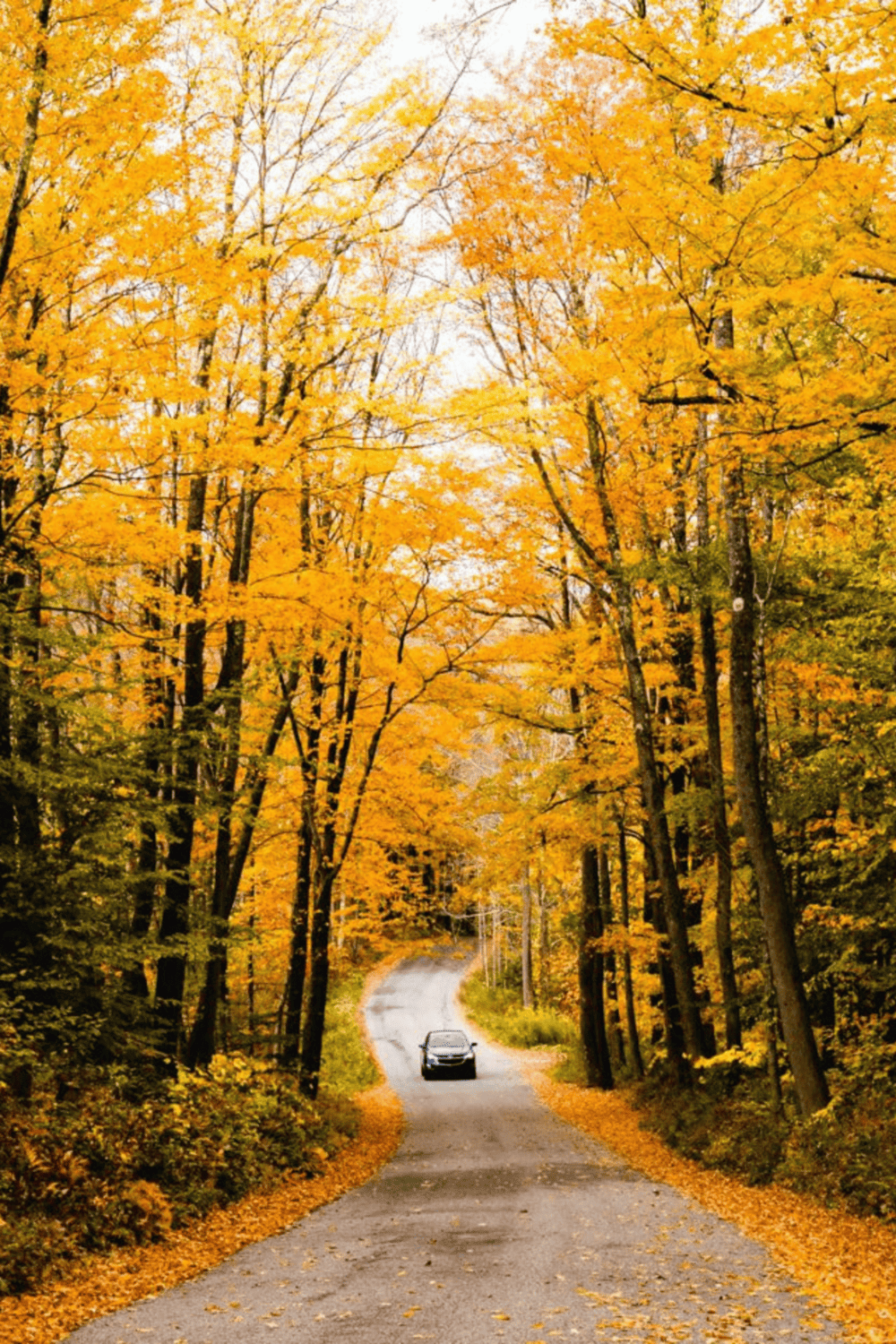 Serene autumn forest with a winding road and a black car, showcasing fall foliage and scenic travel routes.