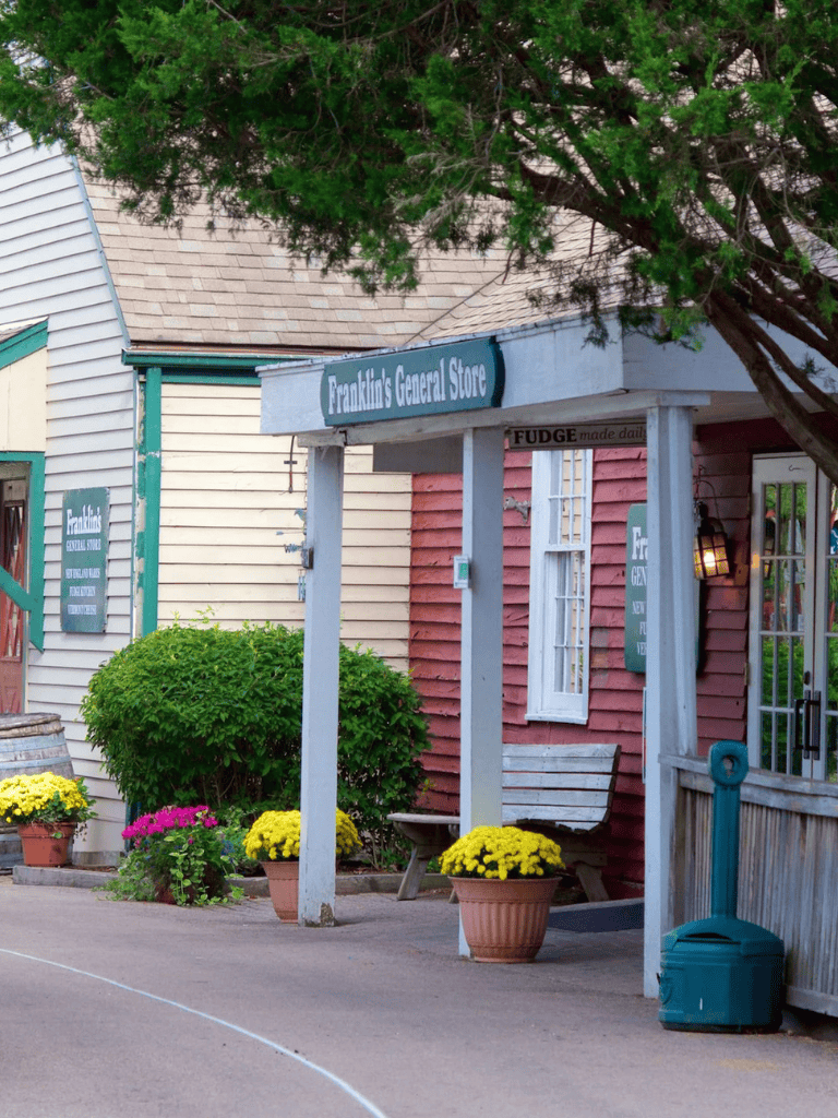 Colorful small-town general store with flowers and a bench, perfect for local shopping and directions.