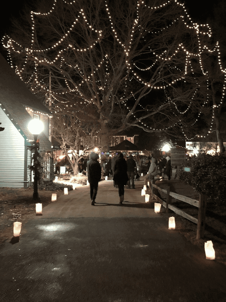 Stranded night outdoor event with illuminated string lights on trees and pathways for guided evening strolls.