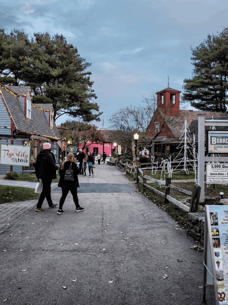 Charming outdoor shopping area with seasonal decorations and visitors at QuestForDirections.