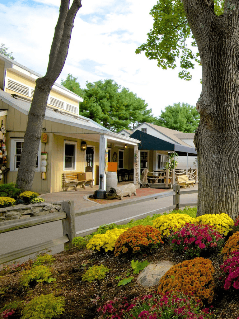 Charming small town storefront with autumn flowers and outdoor seating, vibrant and inviting local shopping experience.