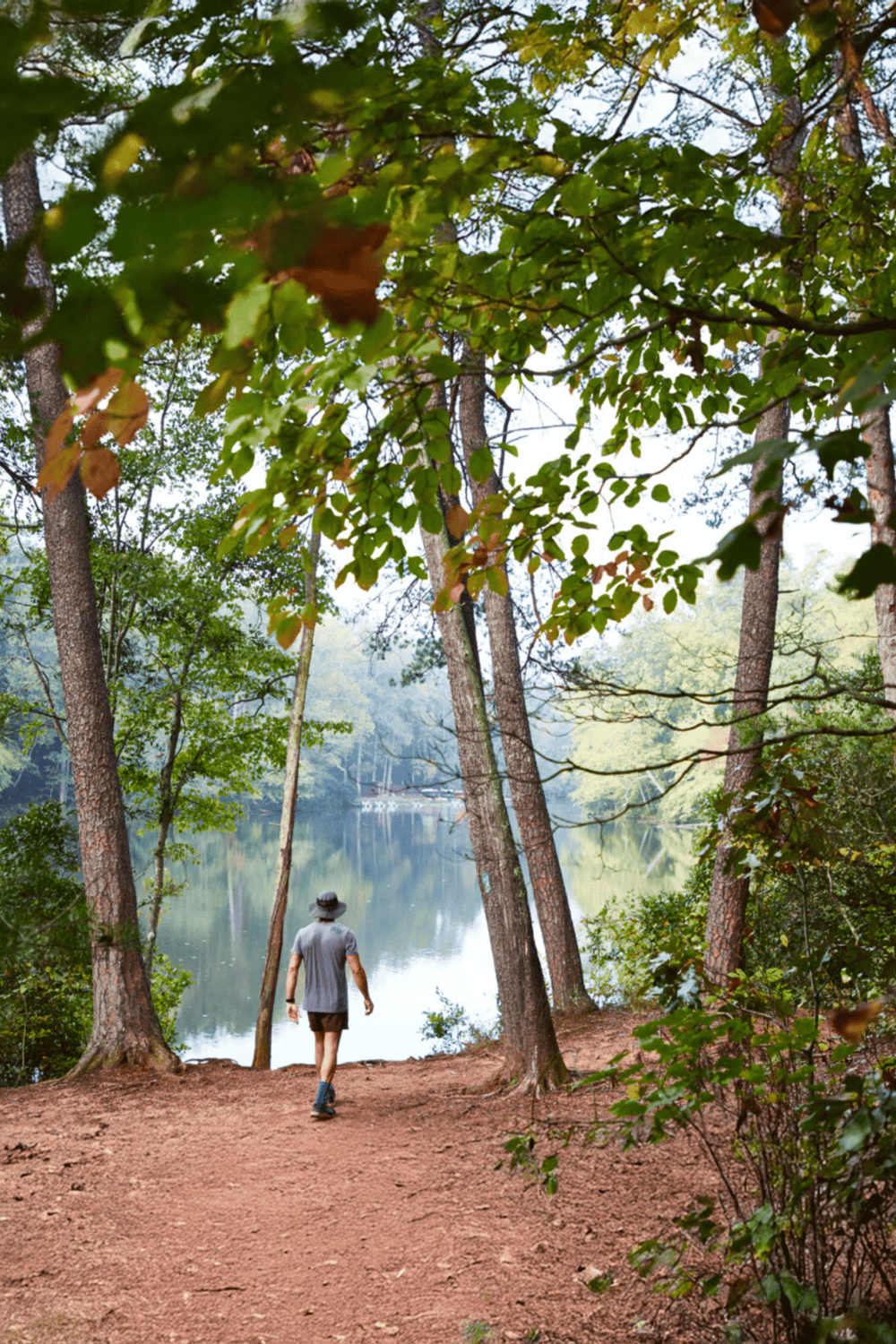 Serene outdoor trail near lake, perfect for nature exploration and hiking experiences.
