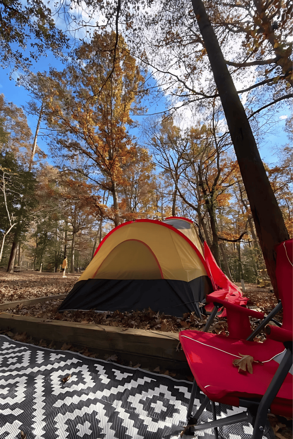 Relaxing camping tent in a woodland forest during autumn, perfect for outdoor adventures.