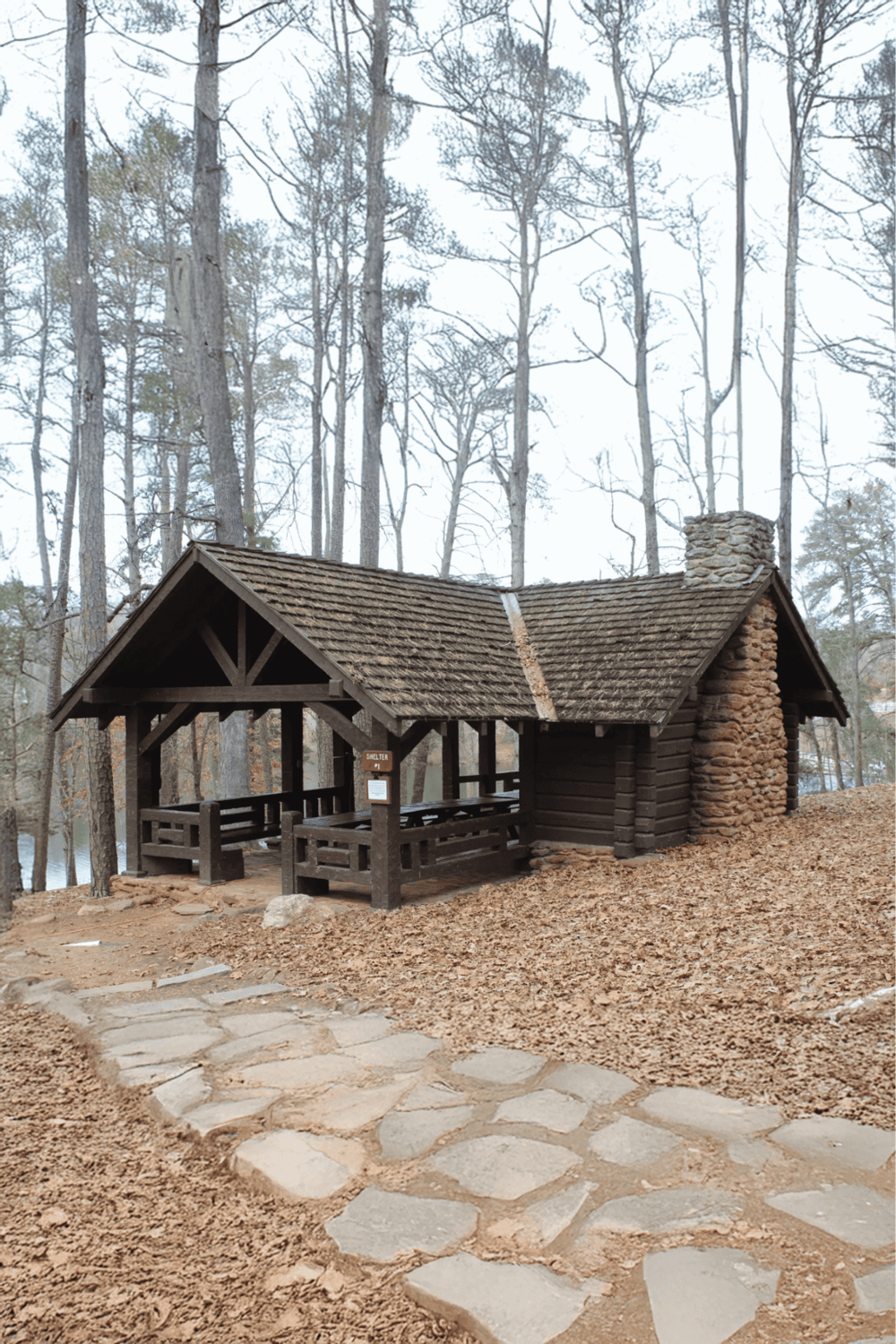 Secluded forest shelter with stone chimney and wooden benches, ideal for outdoor adventures and nature exploration.