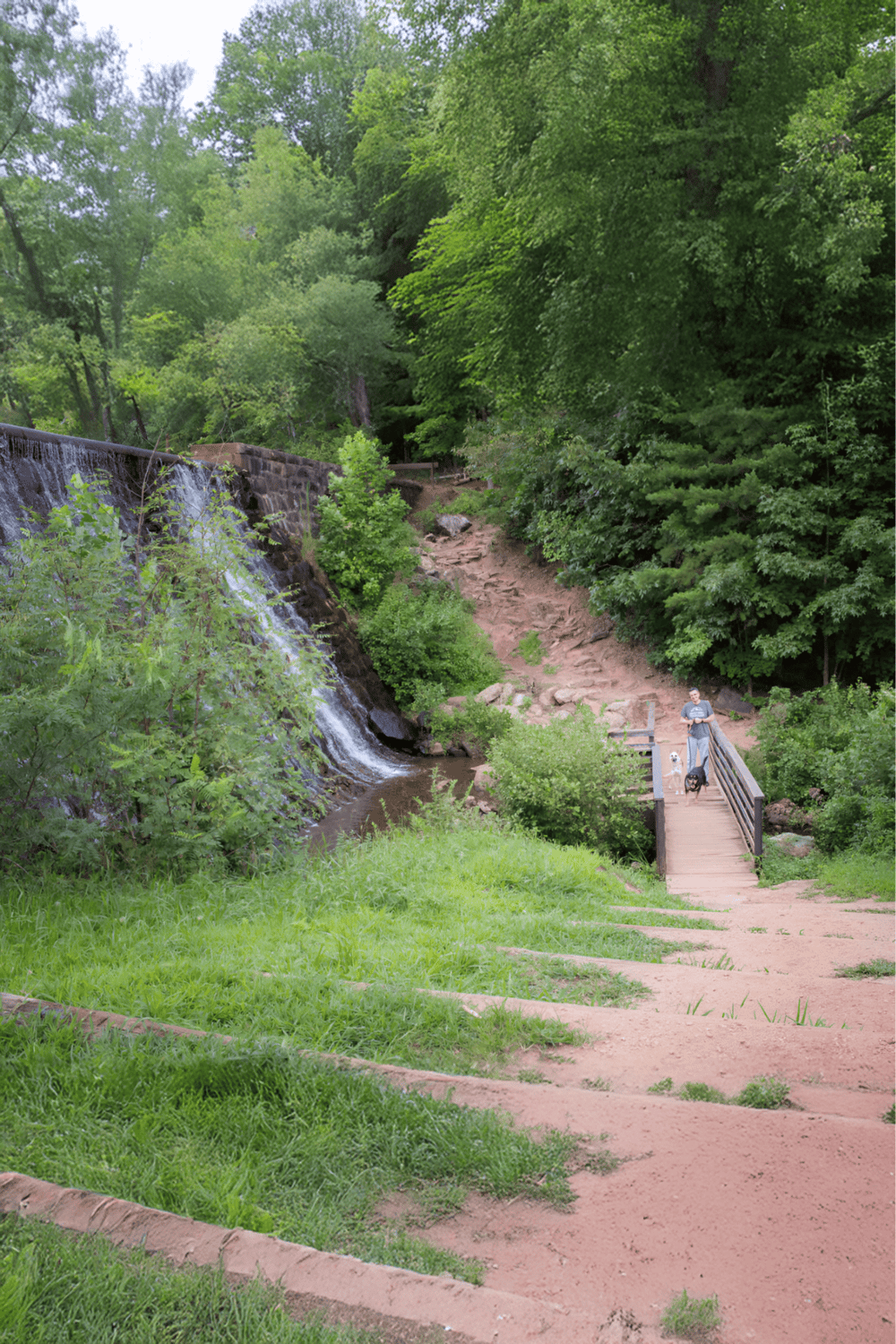 Lush green forest with waterfall and walking trail, perfect for outdoor adventures and nature exploration.