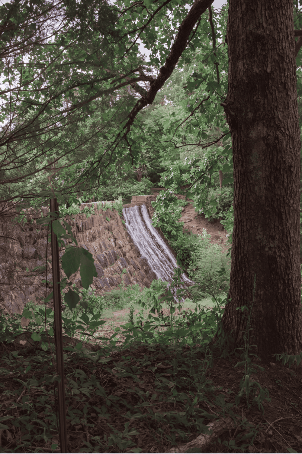 Serene park waterfall surrounded by lush green trees, hiking trail, and nature scenery for outdoor adventure.