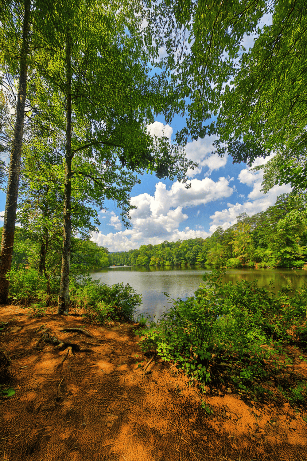 Lush green trees by a tranquil lake under a bright, cloudy sky, nature travel destinations.