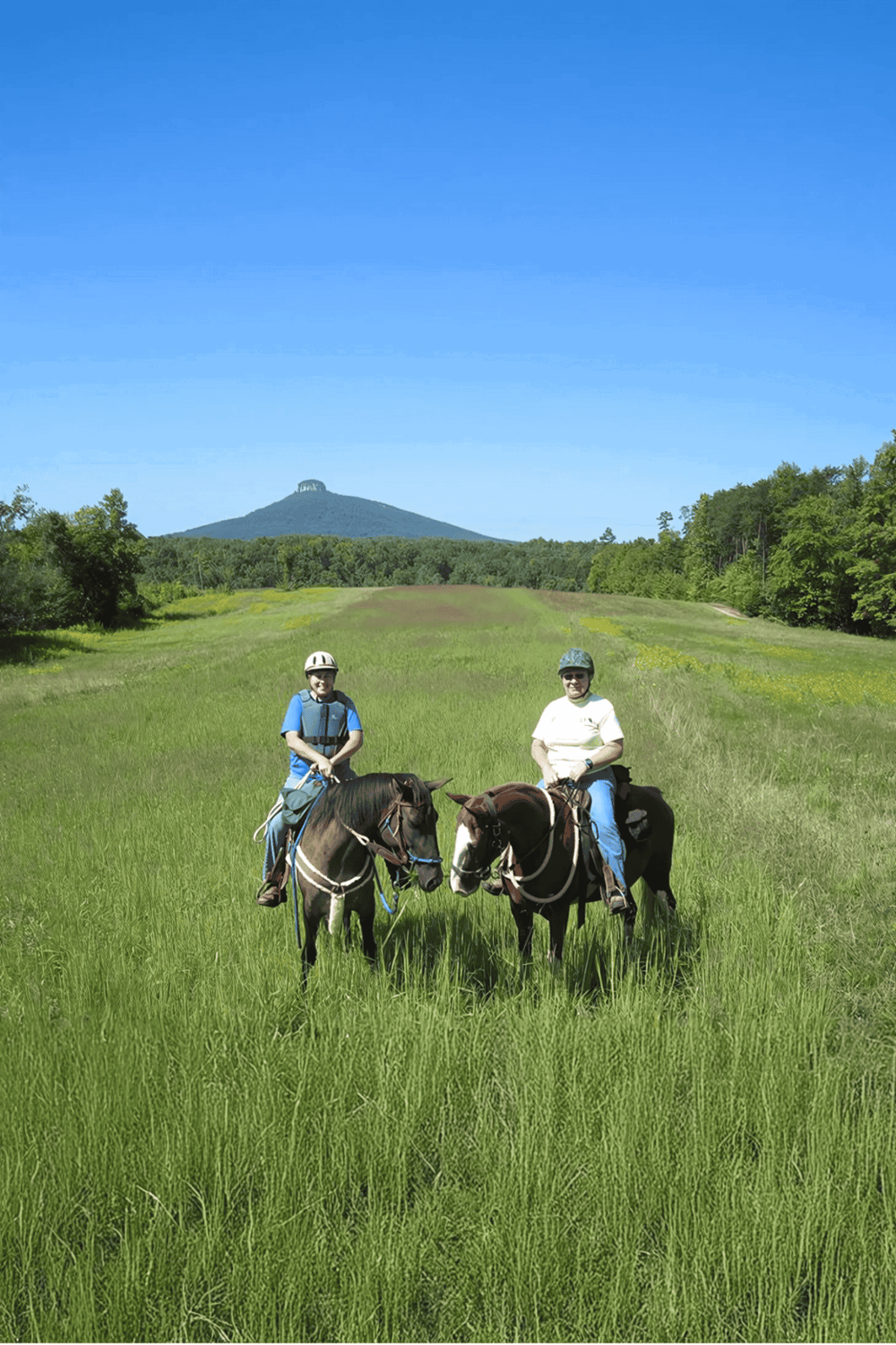Serene horseback riding in lush green fields with a mountain view in the background.